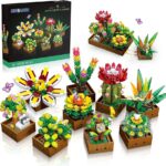El Encanto de las Suculentas: Naturaleza en Miniatura para tu Hogar
